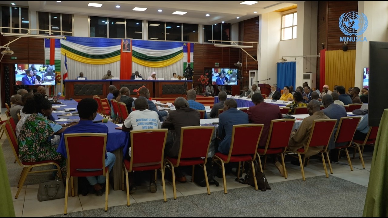 Réunion du Comité de pilotage des droits de l’homme en RCA