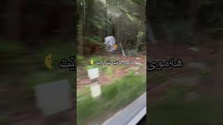 #kurdistan #islam #halabja #slemani #hawler