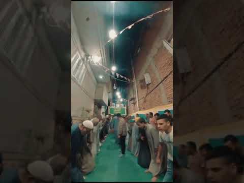 قرية منشأة قاسم التابعة لمركز ومدينة ديرب نجم محافظة الشرقية احتفالات مولد النبي