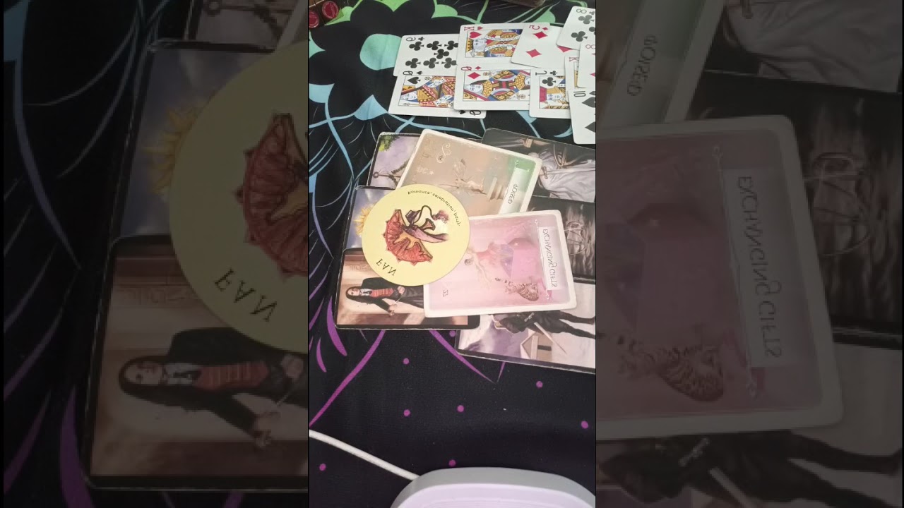 Tarot: Tuổi Mùi - Trong 3 Tháng Tới