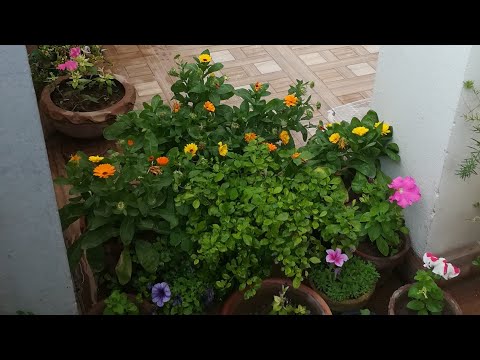 Awesome spring colors