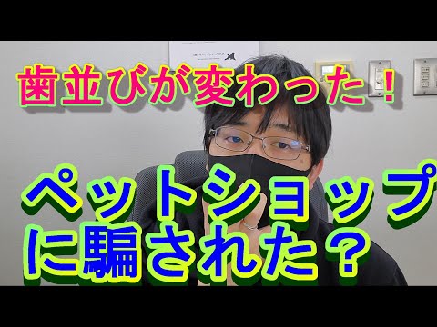 竹 を 割っ た よう な 性格 竹を割ったような性格 私の戯言 Amp Petmd Com