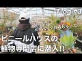 隠れ家的なハウスのお店『玲子ガーデンファーム』で多肉植物購入しました!!