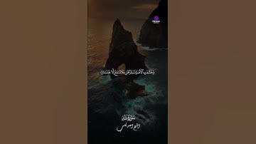 "التلاوة بصوت الشيخ أحمد كاسب كفيلة إنها تهدي قلبك 🌿"