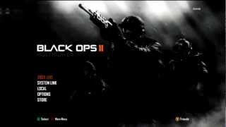 Black Ops 2 ERROR!Please HELP!!!(Failed To Allocate from State Pool) READ DESCRIPTION!