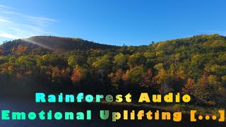 Rainforest Audio - Emotional Uplifting Motivation - epic relaxation music - Mind Drifter screenshot 5