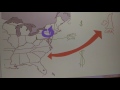 Economic Divides and Political Tensions Between North and South in the Early 1800s