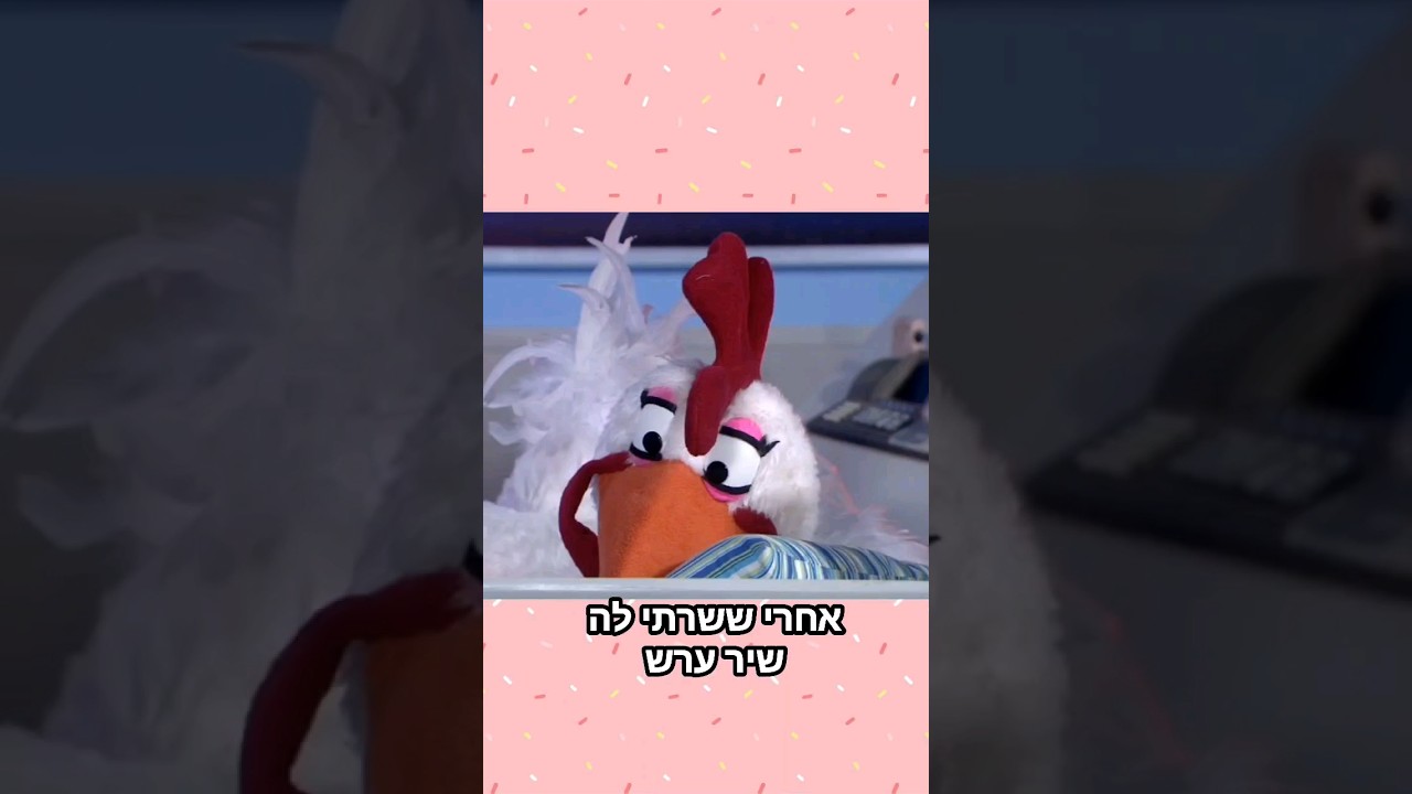 פקפק התרנגולת נרדמה