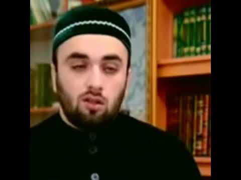 Сказки тариката(1)
