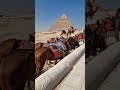 近看金字塔 The Great Pyramid Of Giza