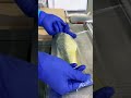 白板昆布の旨みをまとわせた【鯖寿し 匠】