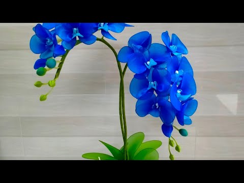 Video Cách Làm Hoa Lan Hồ Điệp Bằng Vải Voan - youtube