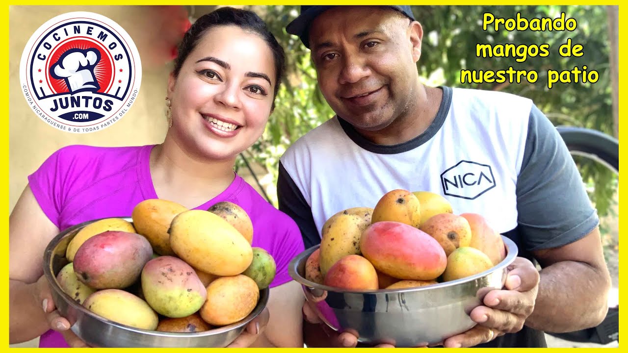 Probando  deliciosos mangos de nuestro patio.