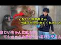 【パンチくん🐵】おじいちゃんに叱られてショックを受けているパンチくん #パンチくん 😭心配した飼育員さんが様子を見に来てくれました。