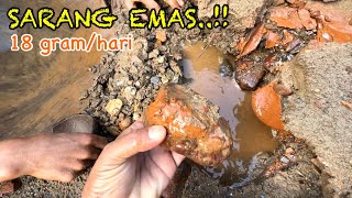 AWESOME,..! DISCOVERY OF THE INDONESIAN GOLD RIVER || EARN 450 MILLION || TRADITIONAL GOLD PANNER