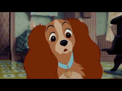 Foofee Foofee and the Cooley show - YouTube