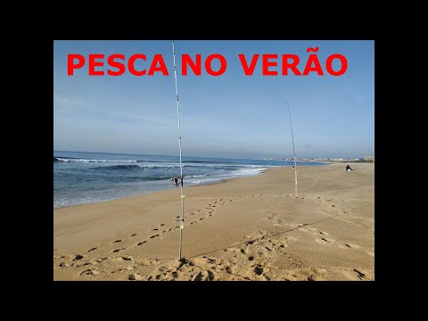 Vídeo: Onde Pescar No Verão