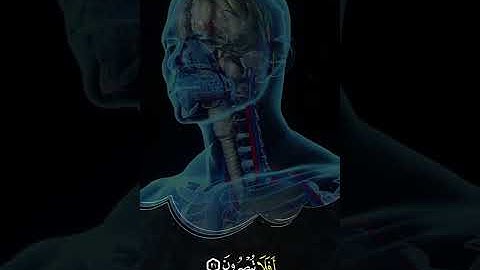 رعد الكردي - سورة الذاريات ( تەفسیرا بادینی )