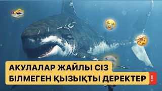 🦈 АКУЛАЛАР ЖАЙЛЫ СІЗ БІЛМЕГЕН ҚЫЗЫҚТЫ ДЕРЕКТЕР #АКУЛА #БАЛЫҚТАР