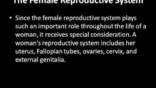 Female Anatomy screenshot 4