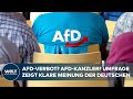 AFD-VERBOT UND AFD-KANZLER: So denken die Deutschen laut einer Civey-Umfrage I WELT Analyse