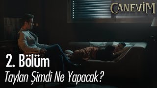Taylan Şimdi Ne Yapacak? - Canevim 2. Bölüm
