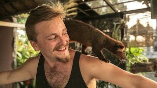 Download Lagu Adventures in Bali: Tanah Lot \u0026 Luwak Coffee MP3