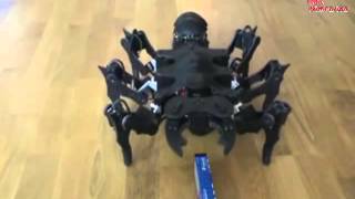 Робот - муравей A-pod