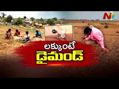 Monsoon Brings Diamond Fever to Kurnool | Treasure Hunters Flock to Villages | NTV Telugu - NTVTELUGU
