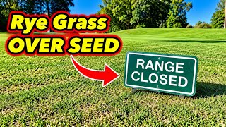 Rye Grass Over Seed on Bermuda Grass