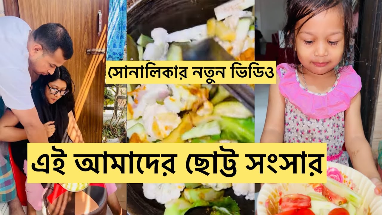 ছোট্ট একটা সংসার কিন্তু অনেক কাজ/ সোনালিকার নতুন ভিডিও