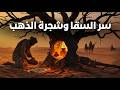 معجزة السقا سر شجرة الذهب في قلب الصحراء قصة للنوم استرخي وودع الأرق