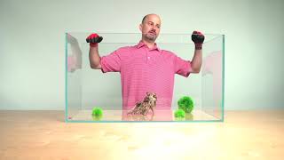 SP Radiant Rimless Aquarium Overview 53 Gallon