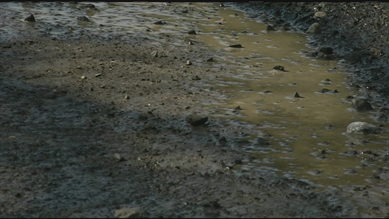 Warm weather causing mud season to start early in parts of western Massachusetts