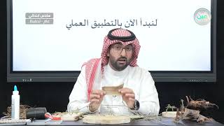 التشكيل بالجذوع و الأغصان (1) - التربية الفنية - سادس ابتدائي