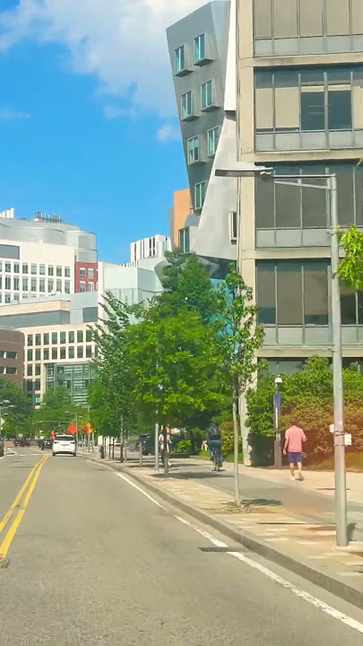 Massachusetts Institute of Technology MIT in Cambridge M.a beautiful place to walk