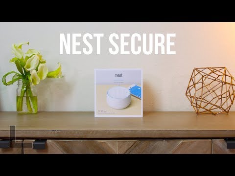Nest