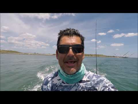 snook-candy😎best-live-bait-for-snook-and-red-fish!-pin-fish!port-canaveral-fishing-plus-location🎣