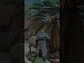 It's assassin's creed after all #mirage #baghdad #basically #acmirage #ps5 #sheep #fruitandveggies