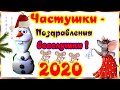 Новогодние частушки с юмором и приколом крысы в новый год 2020