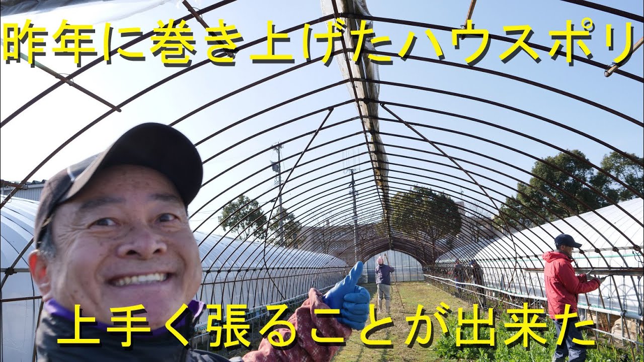 巻き上げて越冬したハウス・テスト張り成功しました・2020