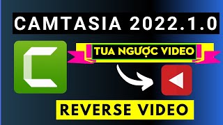 Hướng Dẫn Tua Ngược Video Trong Camtasia Studio 2022 22.1 screenshot 5