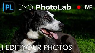 Photo editing LIVE with DxO Photolab 9.9 - Send me your photos! screenshot 3