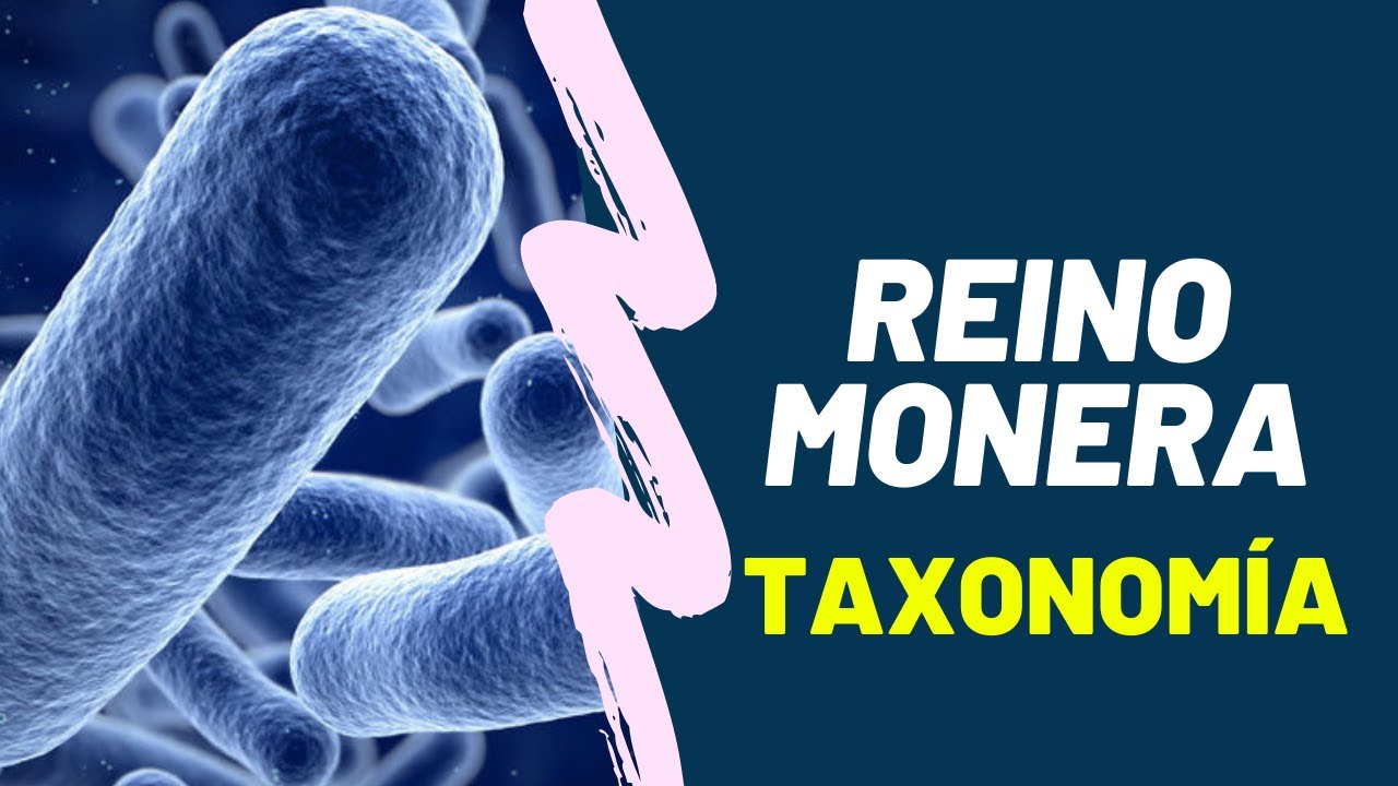 REINO MONERA - TAXONOMIA