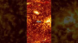 Unbelievable! The Sun Is Changing Size 😱☀️🌞 #shorts #facts #science #sun #space #universe #mystery