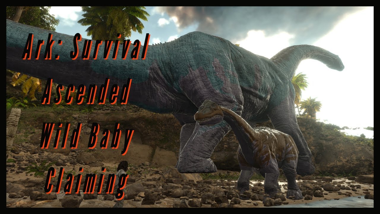 How To Claim Wild Baby Dinos [Ark Survival Ascended] YouTube
