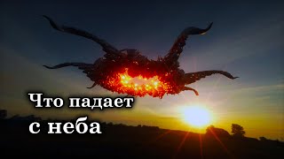 В Лиссабоне Учёные Нашли Загадочное Существо