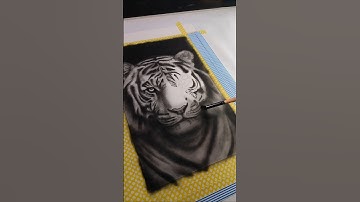 Easy Tiger drawing using Charcoal Powder | realistic✨ #shorts #draw