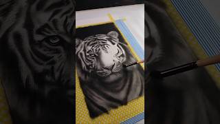 Easy Tiger drawing using Charcoal Powder | realistic✨ #shorts #draw