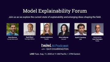 Model Explainability Forum